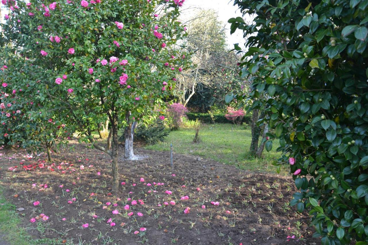 Quinta D'Avo Amelia Bed & Breakfast Alquerubim Exterior photo